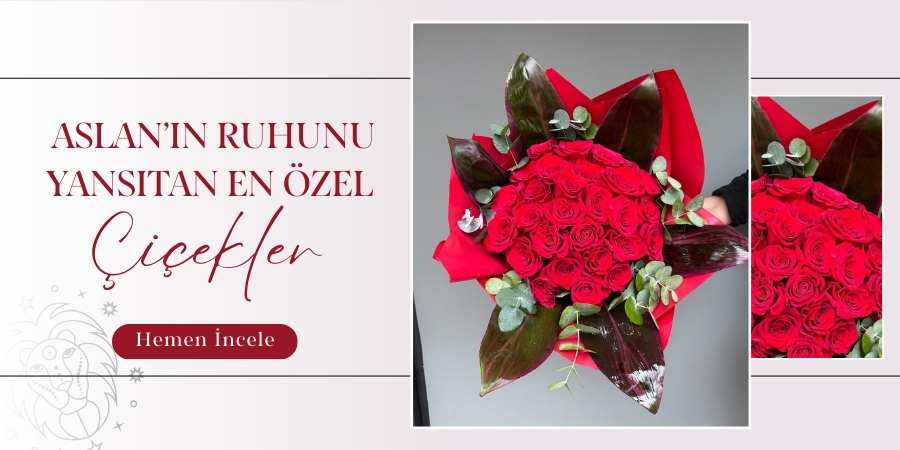 iris-banner-aslan.jpg