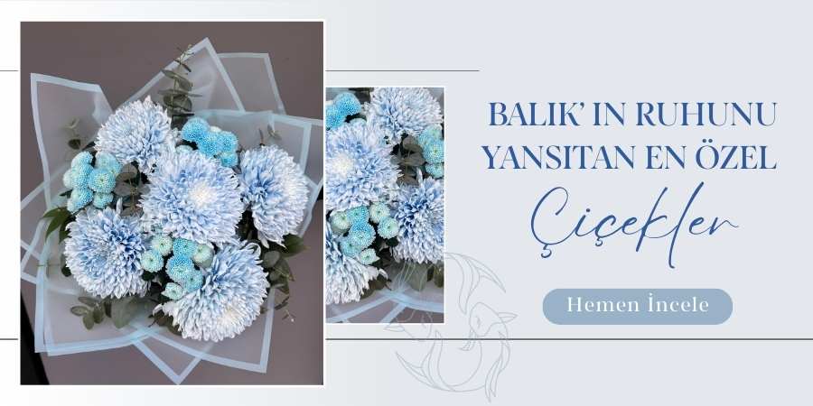 iris-banner-balik.jpg