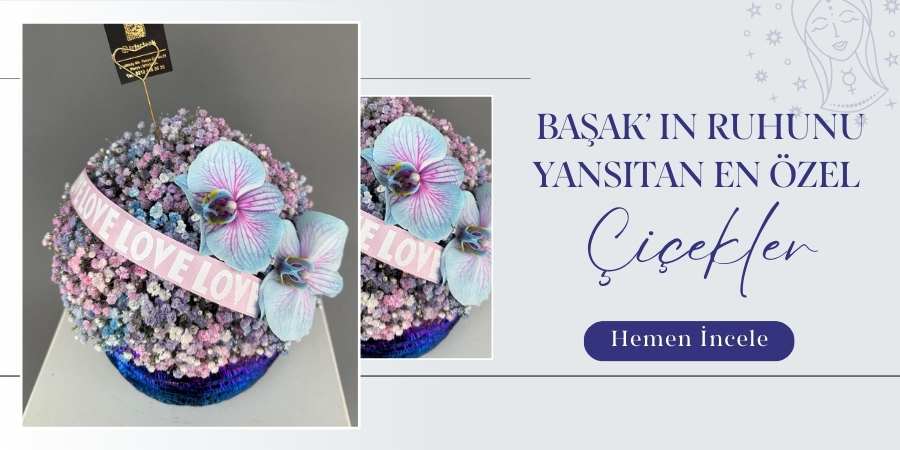 iris-banner-basak.jpg