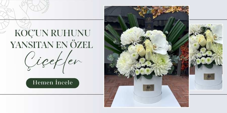 iris-banner-koc2.jpg