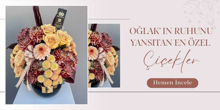 iris-banner-oglak.jpg