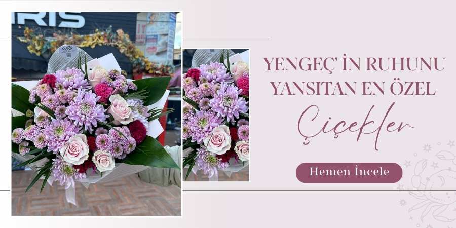 iris-banner-yengec.jpg