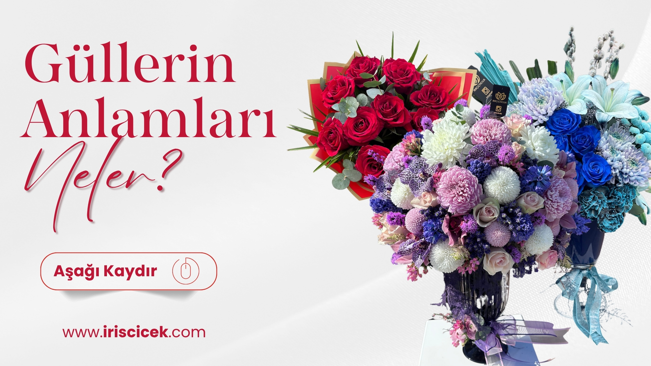 iris-gullerrin-anlamlari.jpg