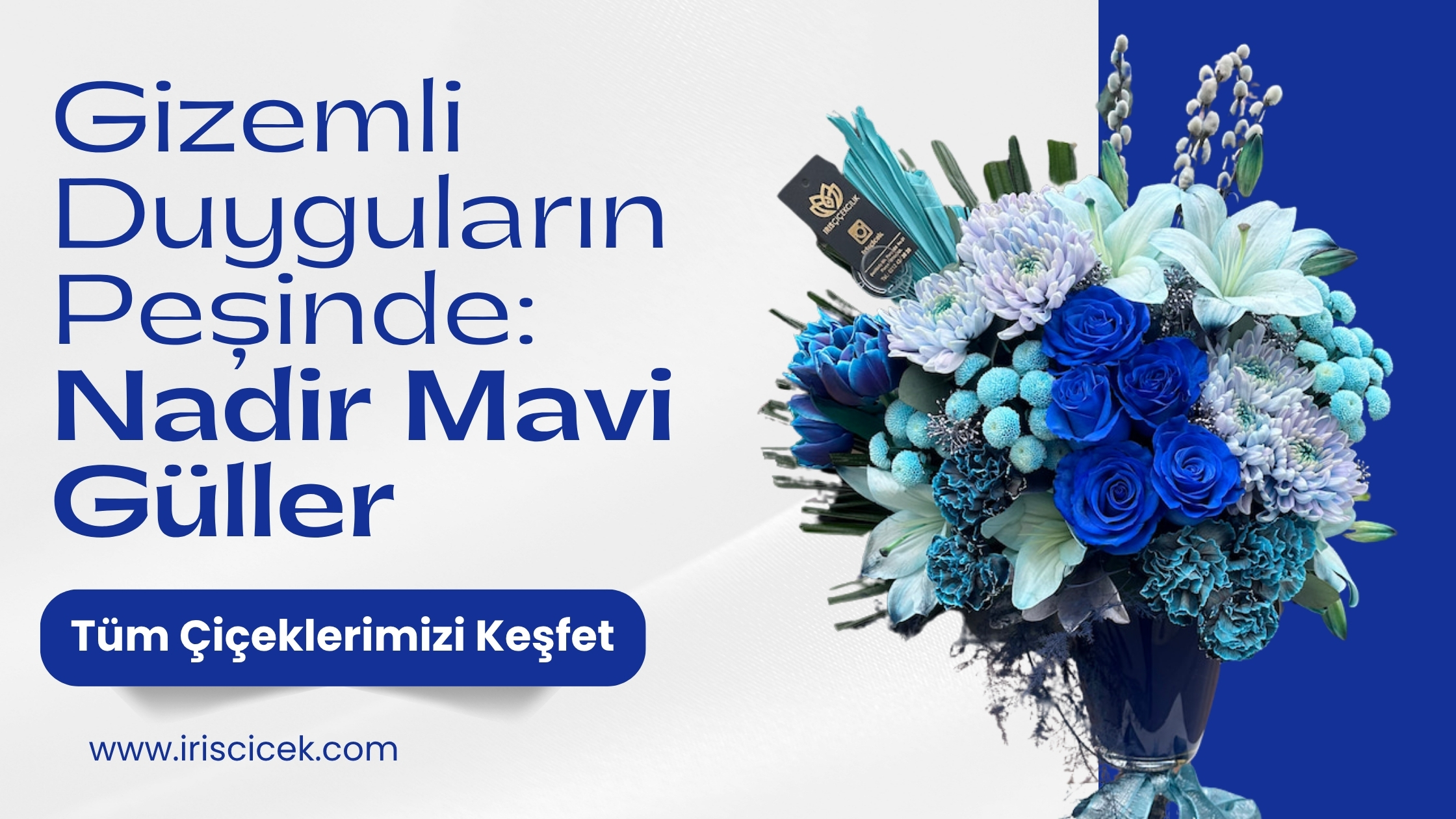 iris-mavi-guller1.jpg