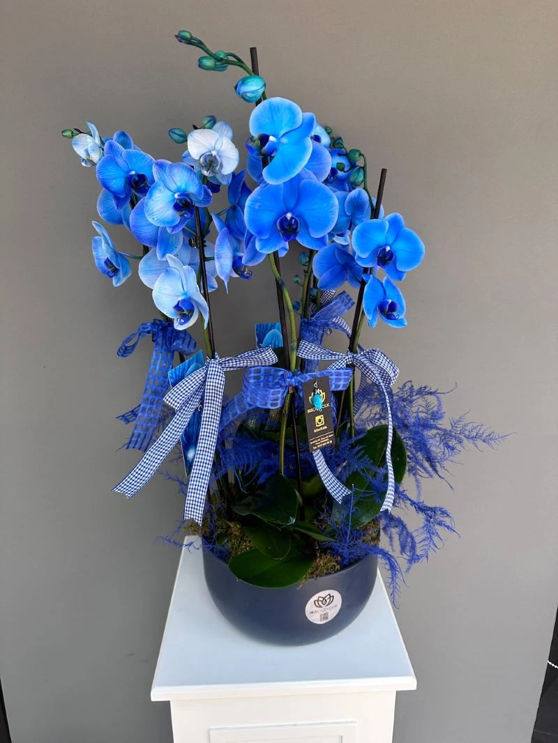 Erkeklere Alınabilecek Çiçekler