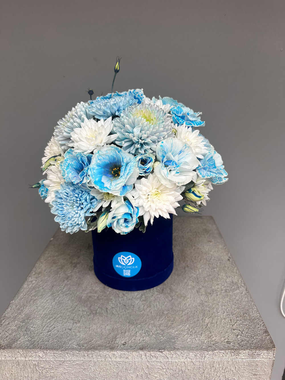Blue Harmony Box
