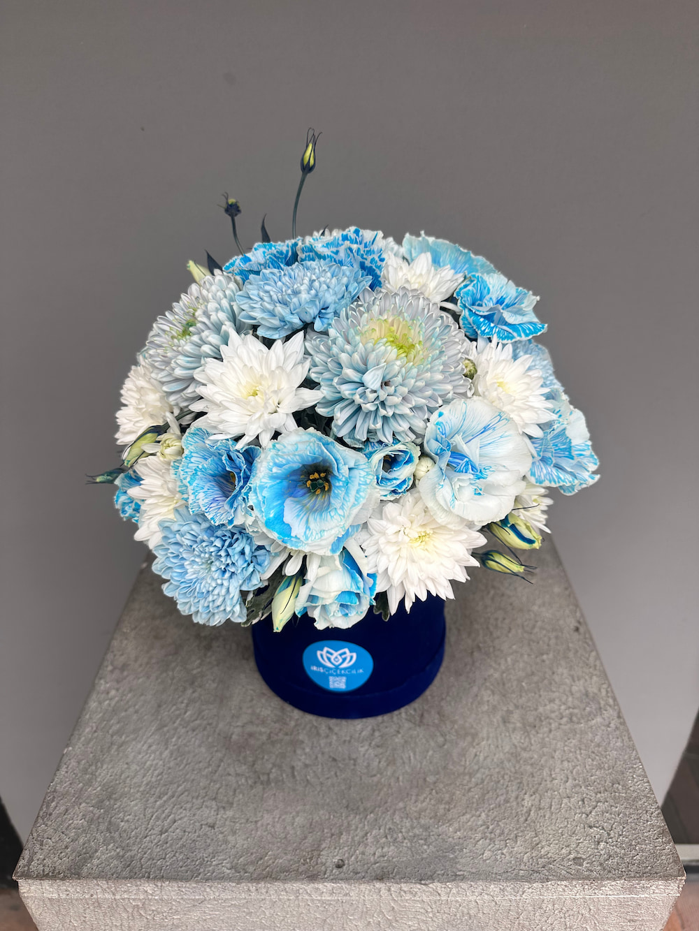 Blue Harmony Box