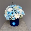 Blue Harmony Box