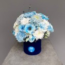 Blue Harmony Box