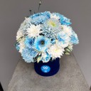 Blue Harmony Box