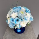 Blue Harmony Box
