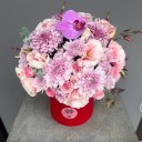 Maison Iris Box