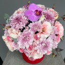 Maison Iris Box
