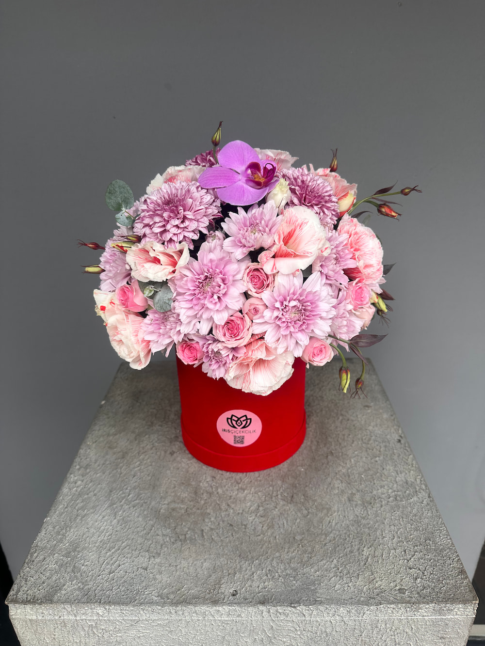Maison Iris Box