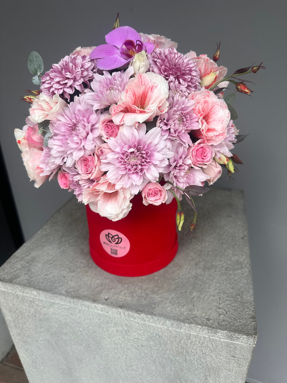 Maison Iris Box