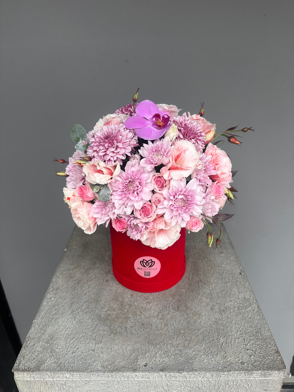 Maison Iris Box