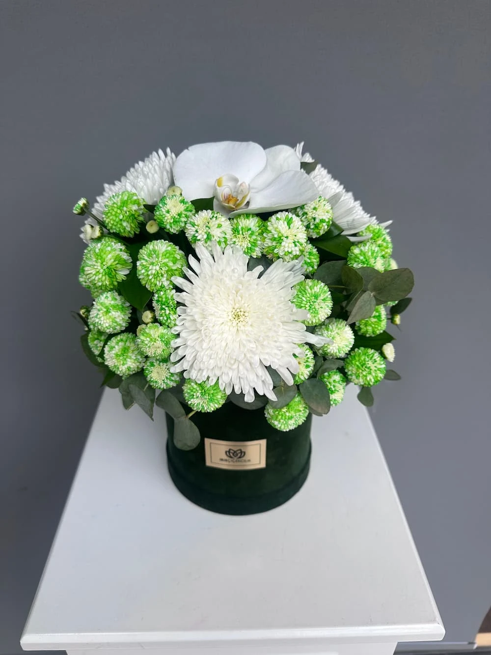 Green Ocean Kutuda Aranjman