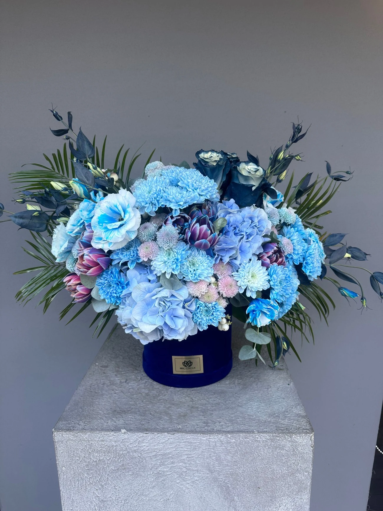 Iris Atelier Aranjman