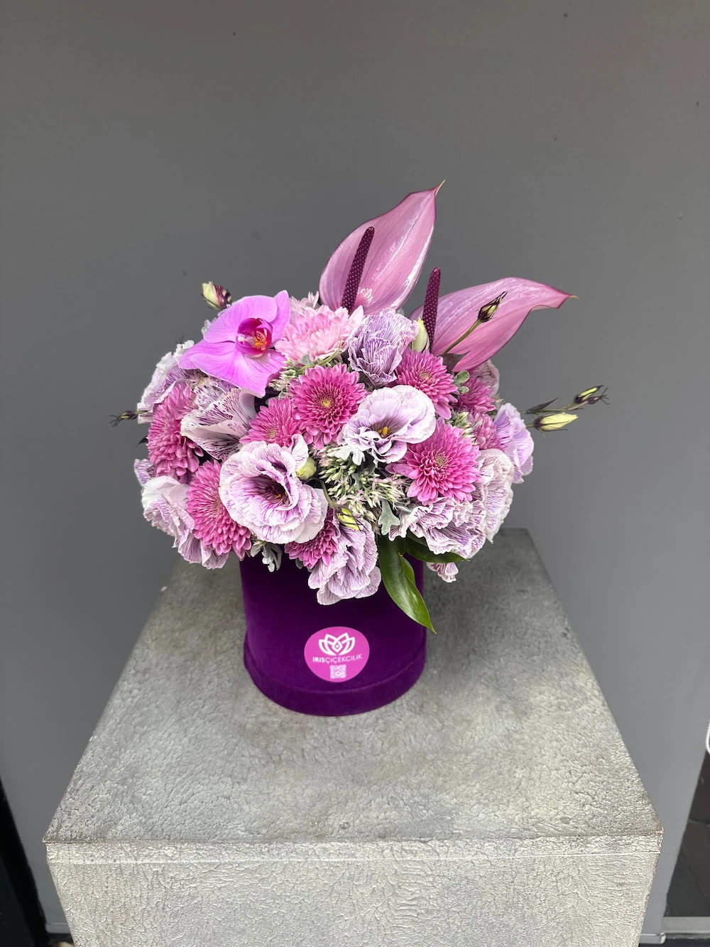 Mor Tutku Kutu Aranjman