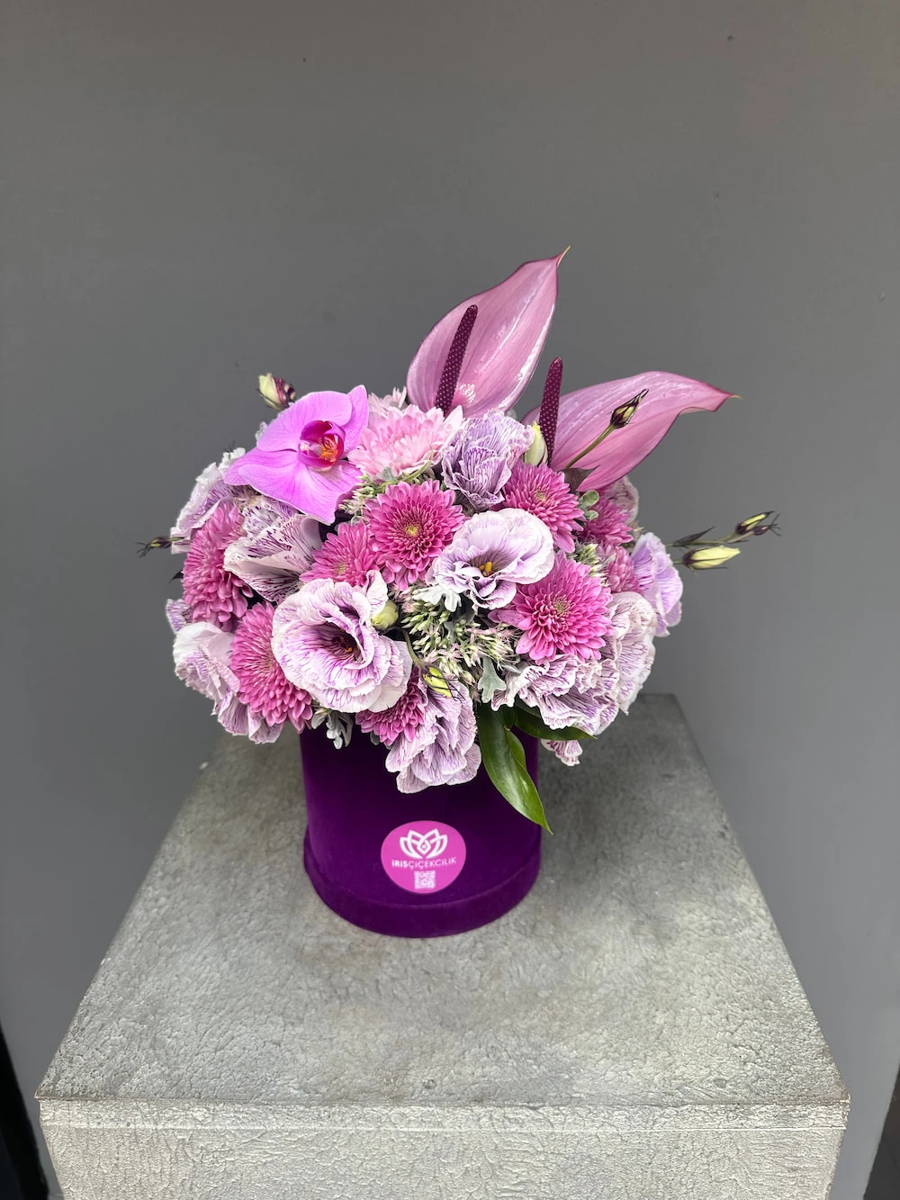 Mor Tutku Kutu Aranjman